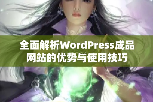 全面解析WordPress成品网站的优势与使用技巧