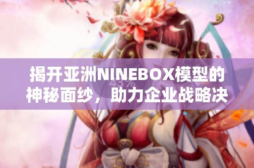 揭开亚洲NINEBOX模型的神秘面纱，助力企业战略决策优化