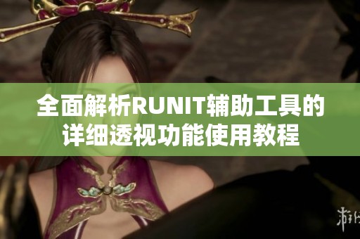 全面解析RUNIT辅助工具的详细透视功能使用教程