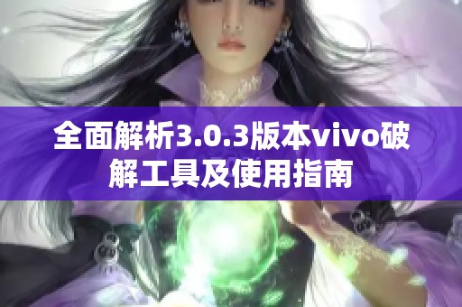 全面解析3.0.3版本vivo破解工具及使用指南