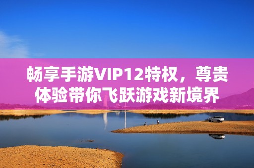 畅享手游VIP12特权，尊贵体验带你飞跃游戏新境界