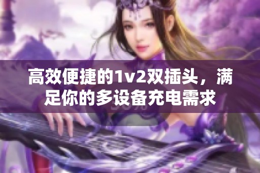 高效便捷的1v2双插头，满足你的多设备充电需求