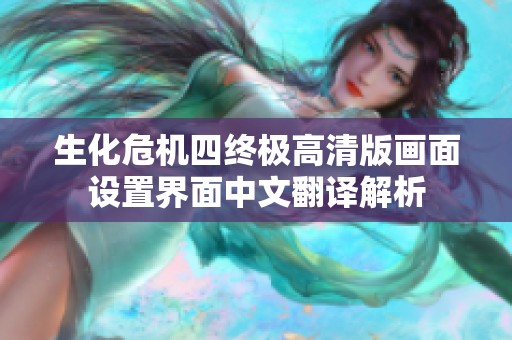 生化危机四终极高清版画面设置界面中文翻译解析