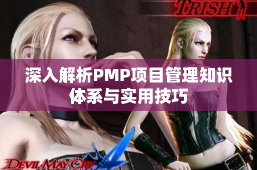 深入解析PMP项目管理知识体系与实用技巧