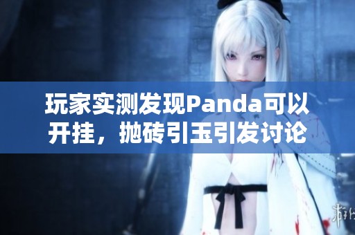 玩家实测发现Panda可以开挂，抛砖引玉引发讨论