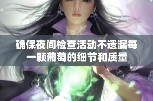 确保夜间检查活动不遗漏每一颗葡萄的细节和质量