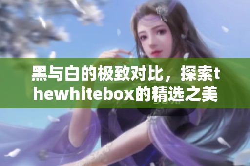 黑与白的极致对比，探索thewhitebox的精选之美