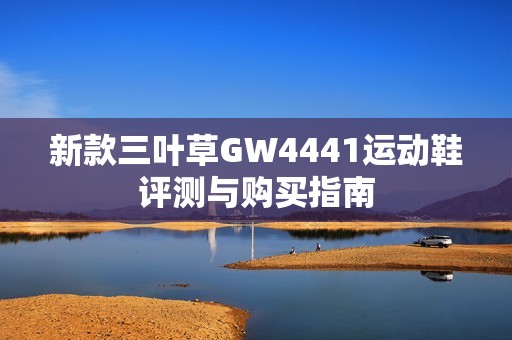 新款三叶草GW4441运动鞋评测与购买指南