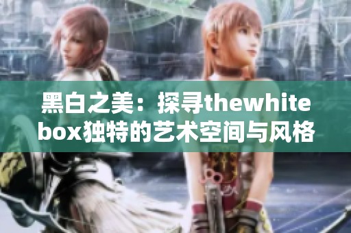 黑白之美：探寻thewhitebox独特的艺术空间与风格