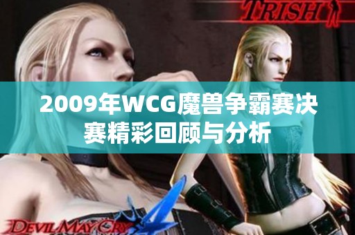 2009年WCG魔兽争霸赛决赛精彩回顾与分析