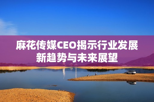 麻花传媒CEO揭示行业发展新趋势与未来展望