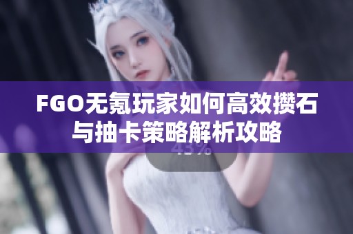 FGO无氪玩家如何高效攒石与抽卡策略解析攻略