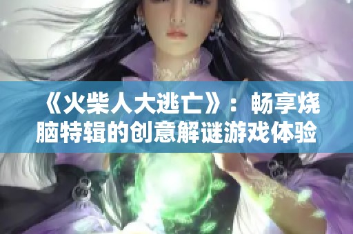 《火柴人大逃亡》：畅享烧脑特辑的创意解谜游戏体验