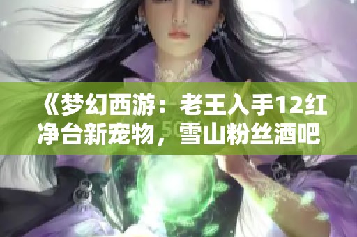 《梦幻西游：老王入手12红净台新宠物，雪山粉丝酒吧宣传真有趣》