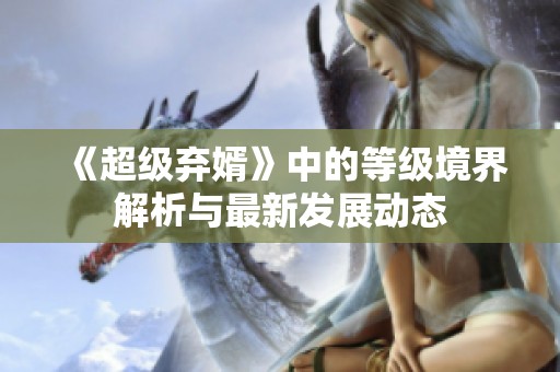 《超级弃婿》中的等级境界解析与最新发展动态