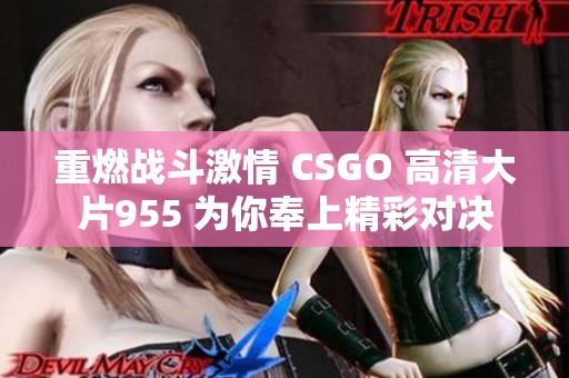 重燃战斗激情 CSGO 高清大片955 为你奉上精彩对决