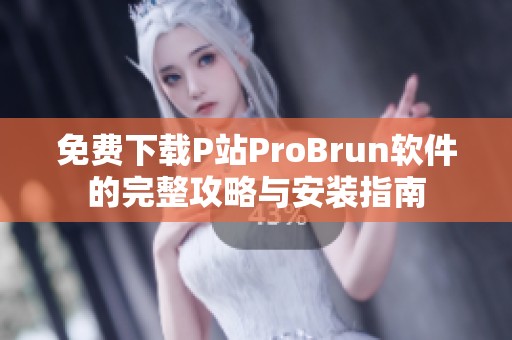 免费下载P站ProBrun软件的完整攻略与安装指南