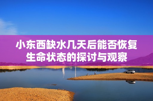 小东西缺水几天后能否恢复生命状态的探讨与观察