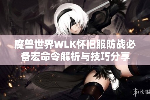 魔兽世界WLK怀旧服防战必备宏命令解析与技巧分享