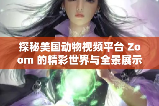 探秘美国动物视频平台 Zoom 的精彩世界与全景展示