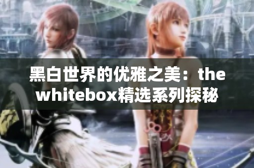 黑白世界的优雅之美：thewhitebox精选系列探秘