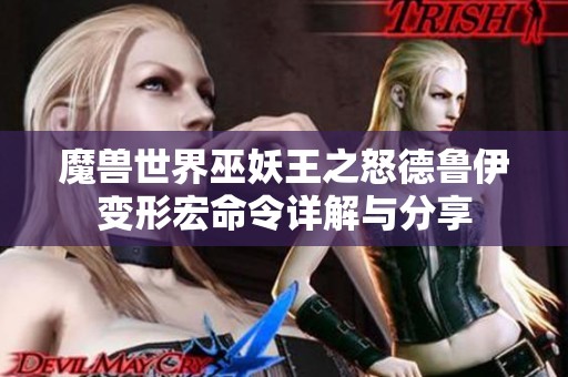 魔兽世界巫妖王之怒德鲁伊变形宏命令详解与分享