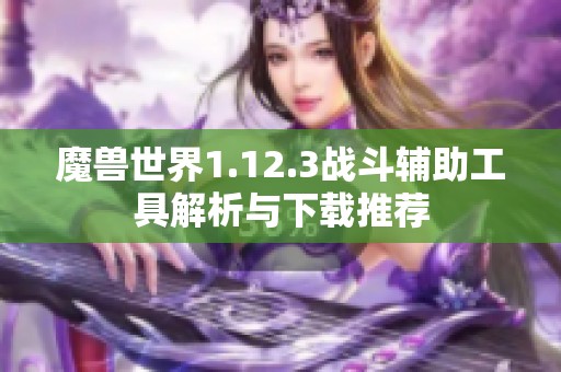 魔兽世界1.12.3战斗辅助工具解析与下载推荐