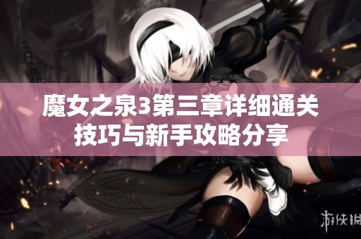 魔女之泉3第三章详细通关技巧与新手攻略分享