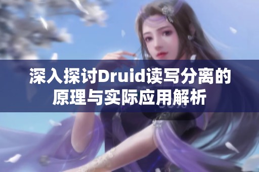 深入探讨Druid读写分离的原理与实际应用解析