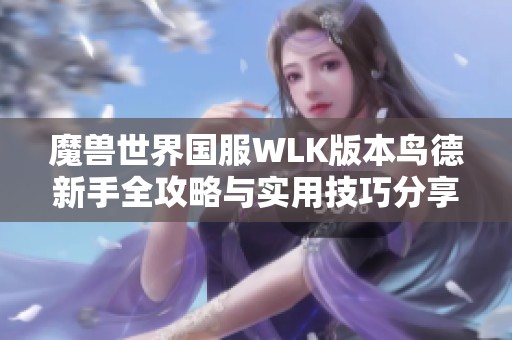 魔兽世界国服WLK版本鸟德新手全攻略与实用技巧分享