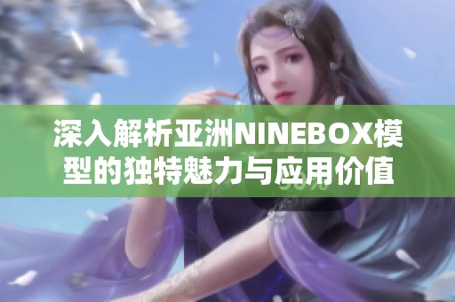 深入解析亚洲NINEBOX模型的独特魅力与应用价值