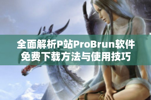 全面解析P站ProBrun软件免费下载方法与使用技巧