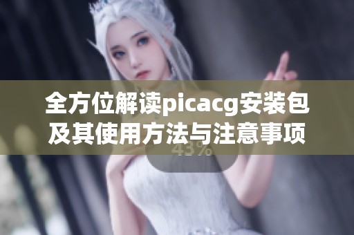 全方位解读picacg安装包及其使用方法与注意事项