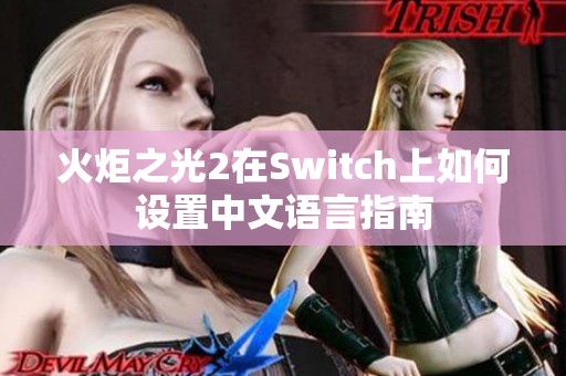 火炬之光2在Switch上如何设置中文语言指南