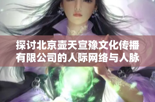 探讨北京壶天宣豫文化传播有限公司的人际网络与人脉资源分析