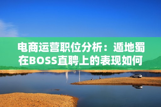 电商运营职位分析：遁地蜀在BOSS直聘上的表现如何