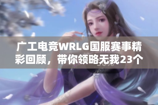 广工电竞WRLG国服赛事精彩回顾，带你领略无我23个战队的风采