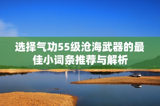 选择气功55级沧海武器的最佳小词条推荐与解析