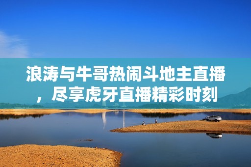 浪涛与牛哥热闹斗地主直播，尽享虎牙直播精彩时刻