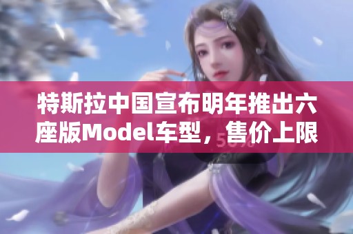 特斯拉中国宣布明年推出六座版Model车型，售价上限200万元