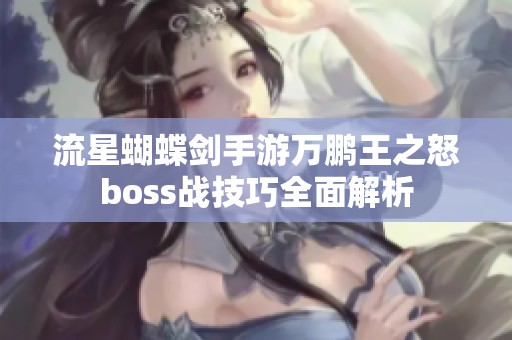 流星蝴蝶剑手游万鹏王之怒boss战技巧全面解析