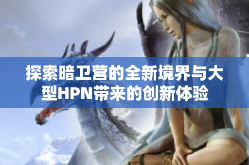 探索暗卫营的全新境界与大型HPN带来的创新体验